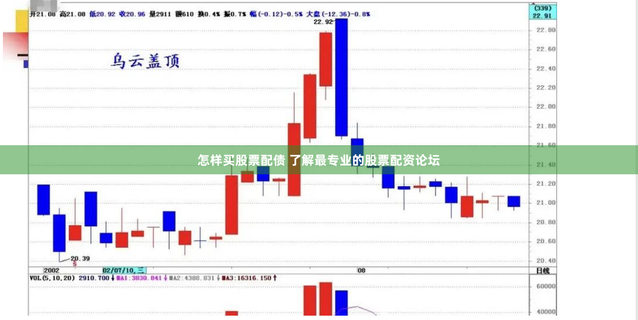 怎样买股票配债 了解最专业的股票配资论坛