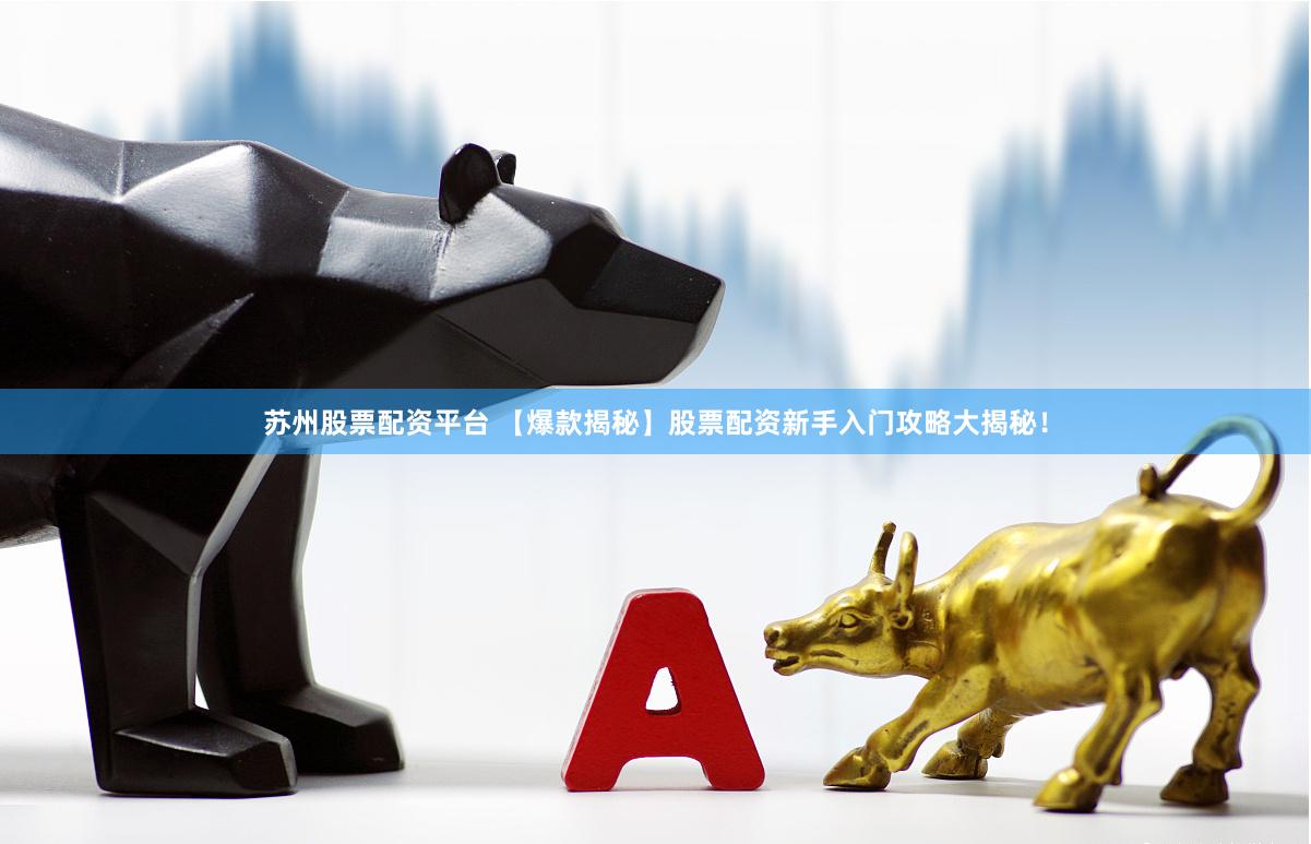 苏州股票配资平台 【爆款揭秘】股票配资新手入门攻略大揭秘！