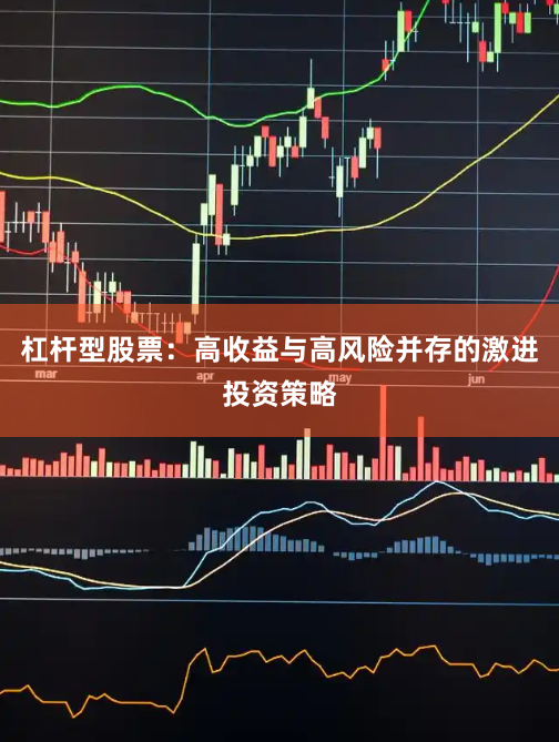 杠杆型股票:高收益与高风险并存的激进投资策略